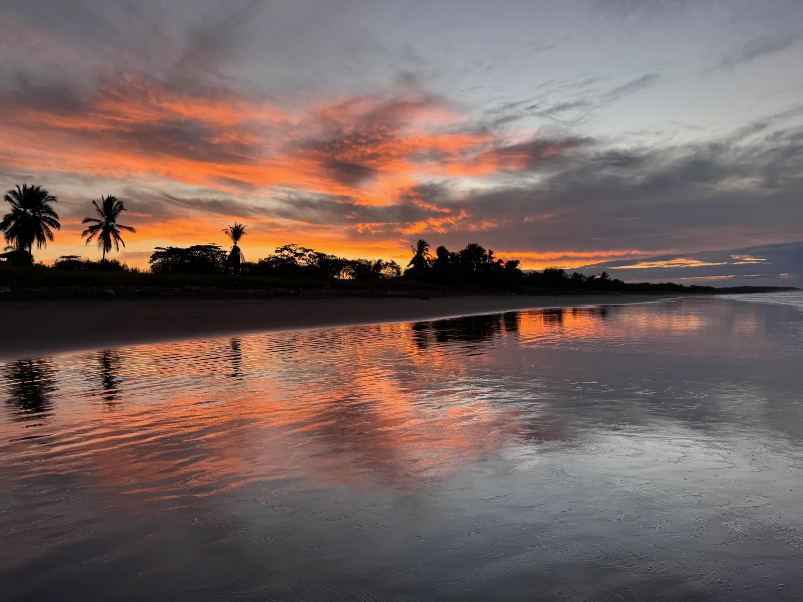 Morning walks in Playa Hermosa: sunrise, surf and Rocky
